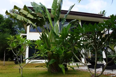 Twin Villas Apartment with Swimming Pool for 2 houses – Photos 14
